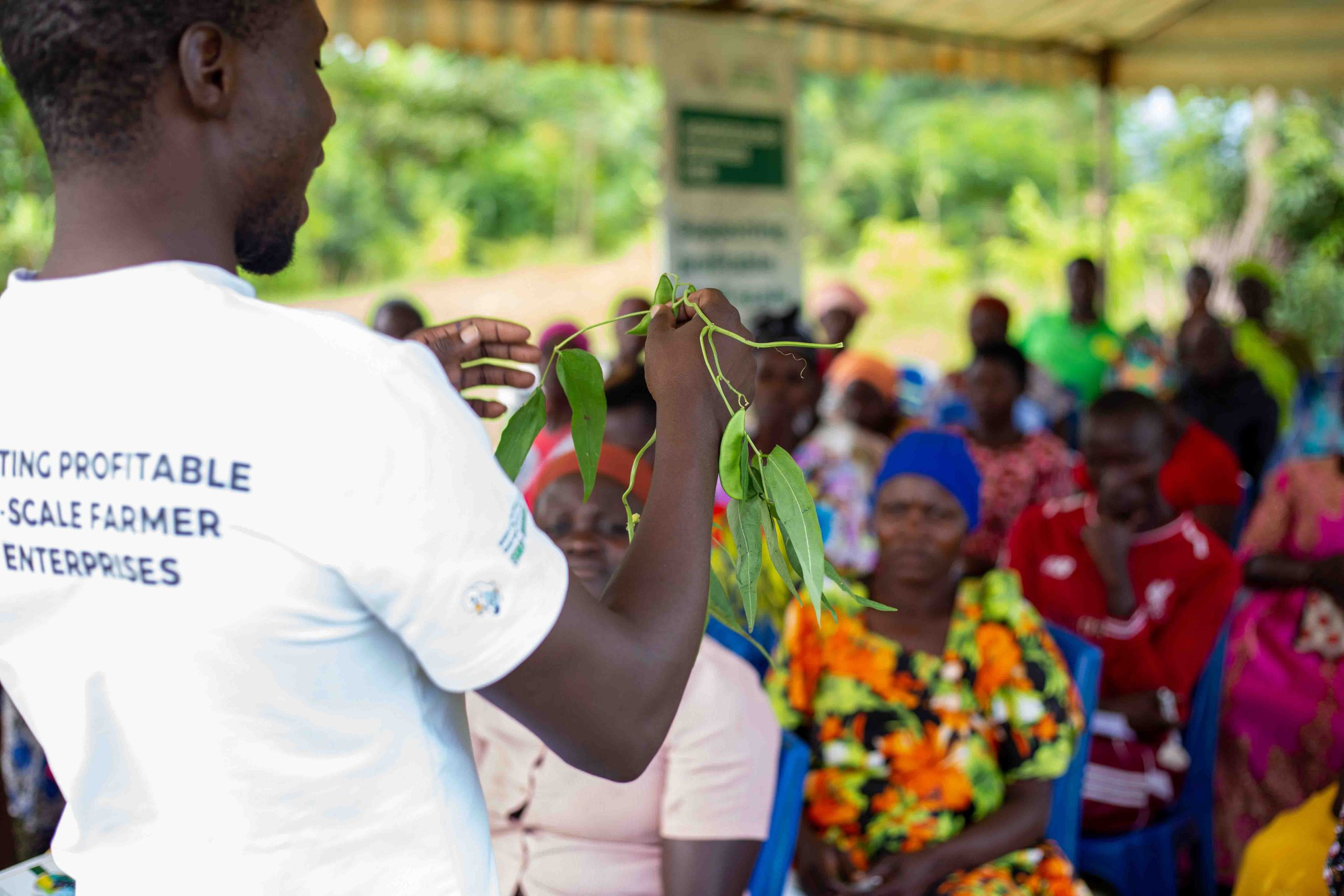 Agroecology programme