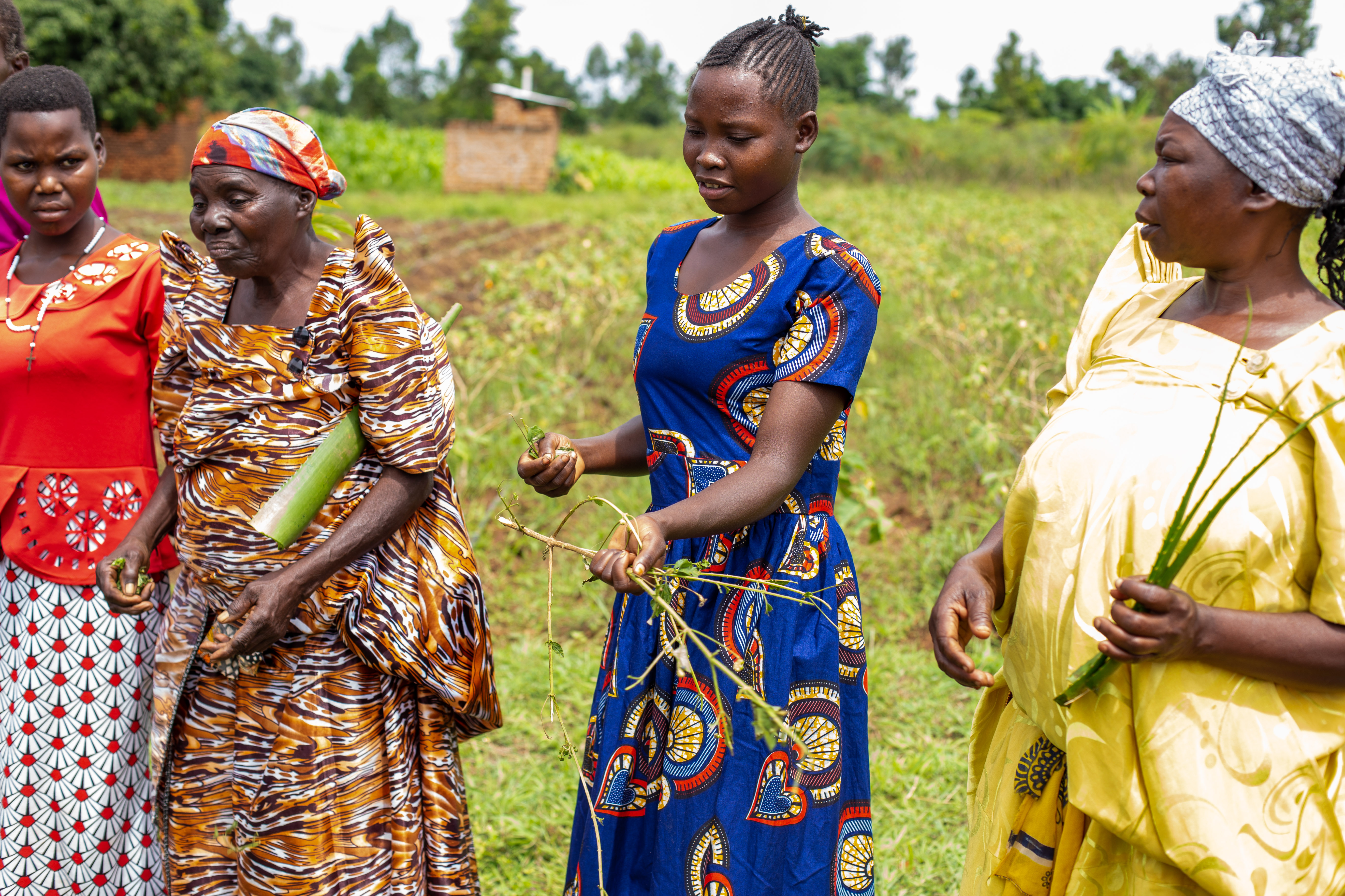 Empower a Farmer